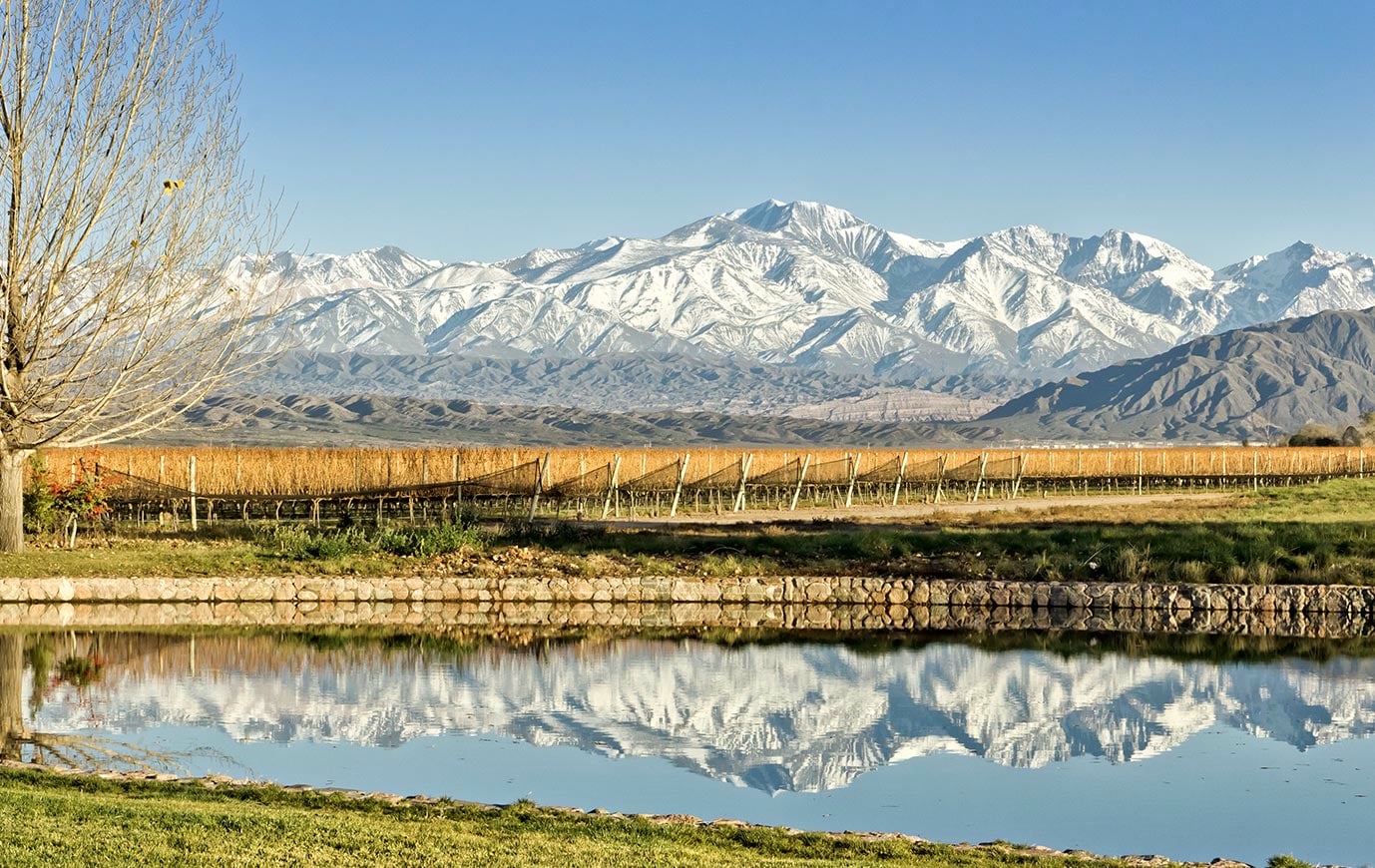 Image of Argentine