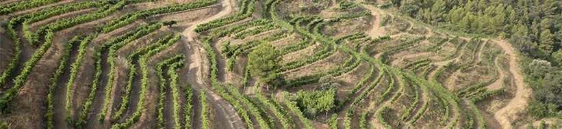Image of Mas Alta