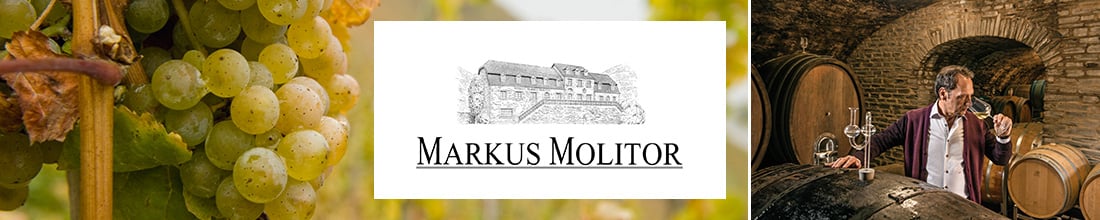 Markus Molitor