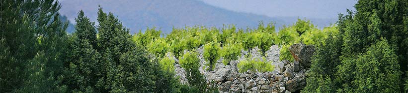 Image of Miraval