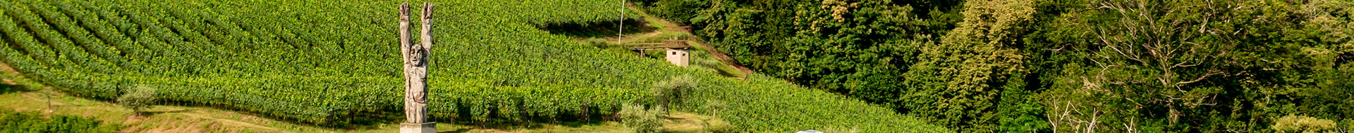 Image of Tamborini