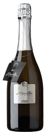 2022 Blanc de Blancs Brut Valais AOC L'Orpailleur - Frédéric Dumoulin