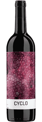 2021 Cyclo Ribera del Duero DO Finca Torremilanos Bodegas Peñalba Lopez